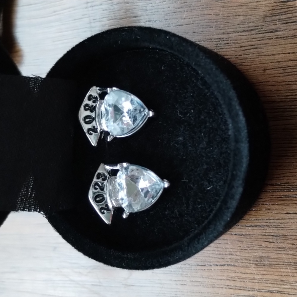 Graduation Earrings